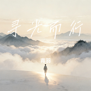 寻光而行