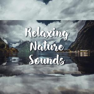 Destress (Before the Storm)