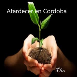 Atardecer en Cordoba