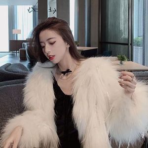 我们再重蹈覆辙好不好 (0.8x片段)