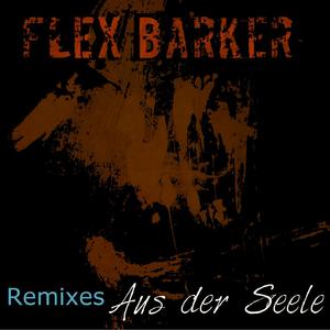 Natural High (Flex Music Remix)