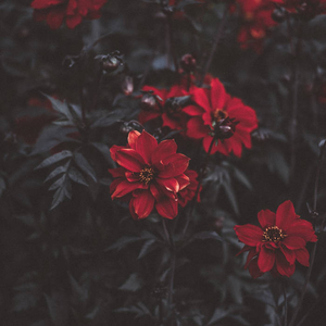 As Long As You With Me