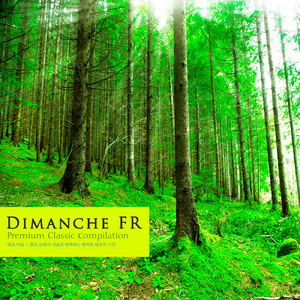 Bach: Brandenbrug Concerto No.5 In D Major BWV.1050 II. Affettuoso