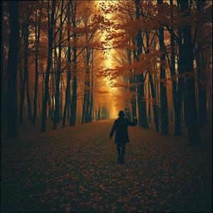 Shadows Where We Danced