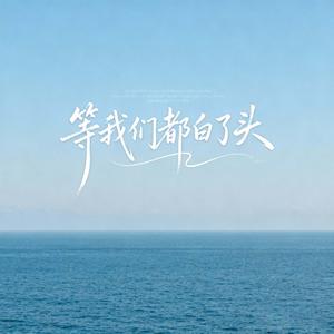 等我们都白了头