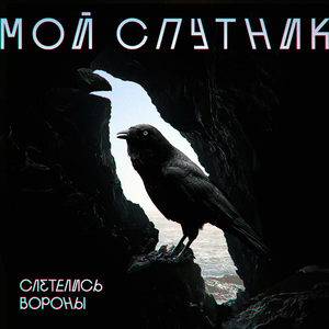 Слетелись Вороны