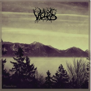 The Breeze Among Felled Trees