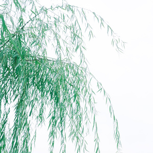 天空变成大海 (铃铛曲)