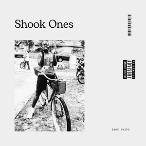 Shook Ones