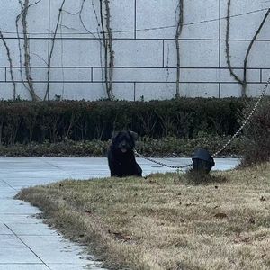 你孤独悲伤的时候地球依然在转动