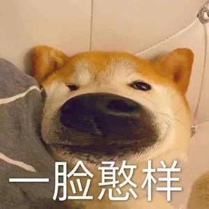 贰拾 贰拾四