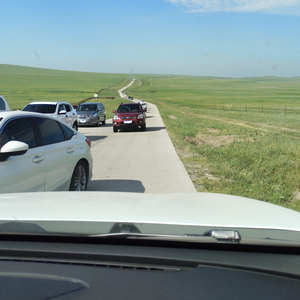 Jingle Bells圣诞歌