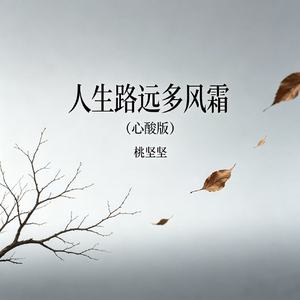 人生路远多风霜(心酸版)