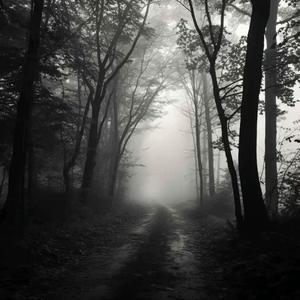 别哭 前面一定有路