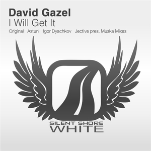 I Will Get It (Igor Dyachkov Remix)