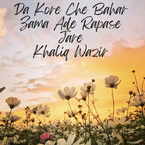 Da Kore Che Bahar Zama Ade Rapase Jare