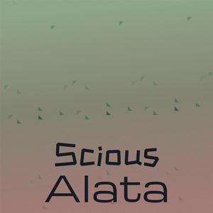 Scious Alata