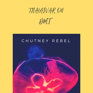 Thalaivar On DMT (Remastered)