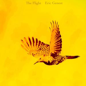The Flight