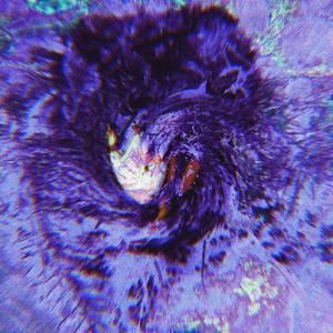 Beauty & Despair (Intro) (feat. Kaena)