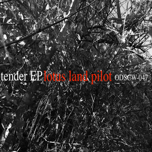 Tender (Original Mix)