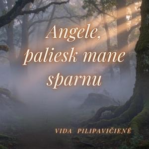 Angele, paliesk mane sparnu