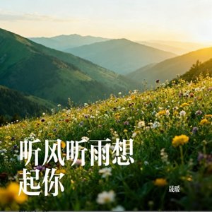 听风听雨想起你