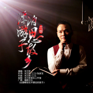 漂泊游子思故乡 (DJ版)