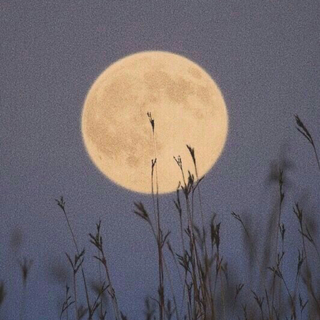 每一个夜晚都有月亮陪我难过