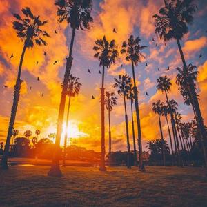 Under the California Sun (Instrumental)