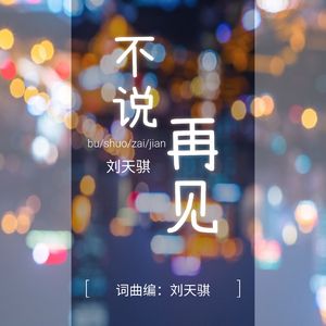 不说再见（伴奏）