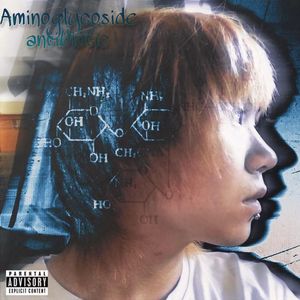 氨基糖苷类抗生素(prod.MEGA)