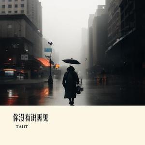 你没有说再见
