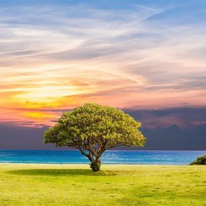 竹帘间的月影轻筛