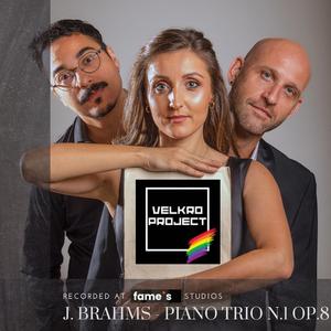 J. Brahms Trio n.1 op.8, II mov.