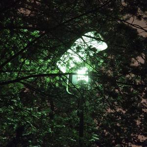 pity songs (freestyle)