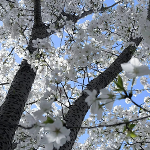 困在有你的回忆里