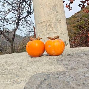 脆弱时重复你的名字