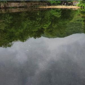 小雨沙沙沙纯伴奏