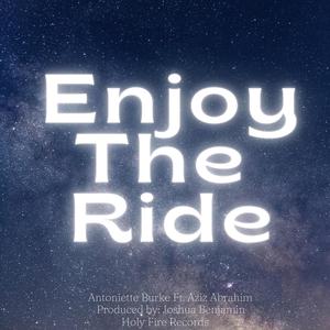 Enjoy The Ride (feat. Aziz Ibrahim) (Remix)