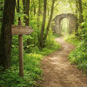 Nie bój się żyć, nie bój się marzyć