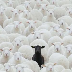 Niggas Cheap (feat. OL Phatz)