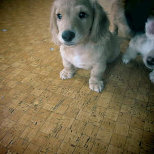 ʕ•̫͡•ʔ•̫͡•ʕ•̫͡•ʔ•̫͡•ʕ•̫͡•ʔ•̫͡•ʕ6