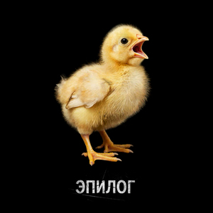 Полчаса