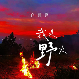 我是野火