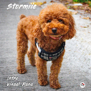 Intro (feat. Stormiie)