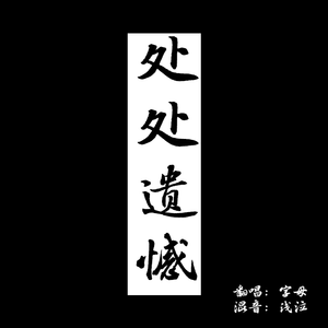 处处遗憾