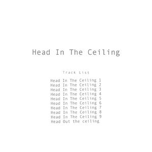 Head In The Ceiling 7