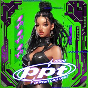 PPT (puttan pop tour)