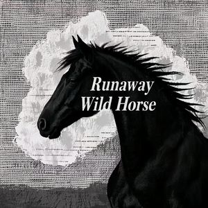 脱缰的野马Ft.ZrothX